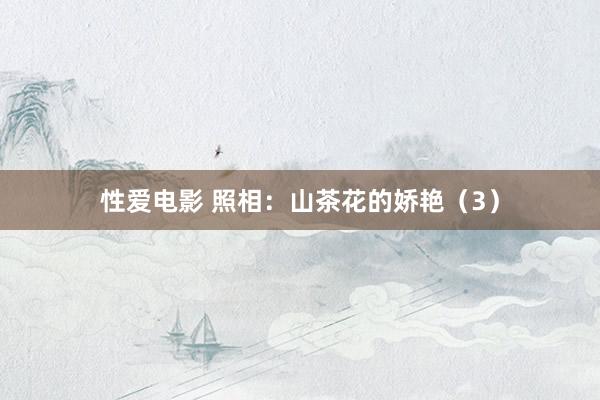 性爱电影 照相：山茶花的娇艳（3）