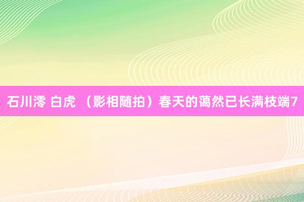 石川澪 白虎 （影相随拍）春天的蔼然已长满枝端7