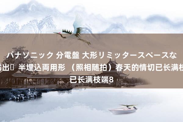 パナソニック 分電盤 大形リミッタースペースなし 露出・半埋込両用形 （照相随拍）春天的情切已长满枝端8