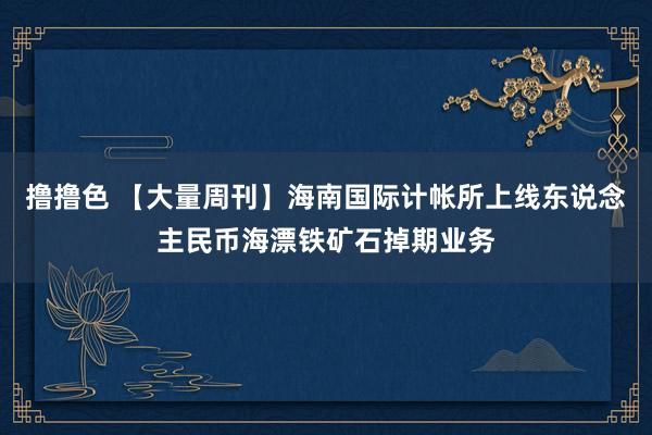 撸撸色 【大量周刊】海南国际计帐所上线东说念主民币海漂铁矿石掉期业务