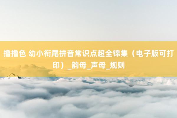 撸撸色 幼小衔尾拼音常识点超全锦集（电子版可打印）_韵母_声母_规则