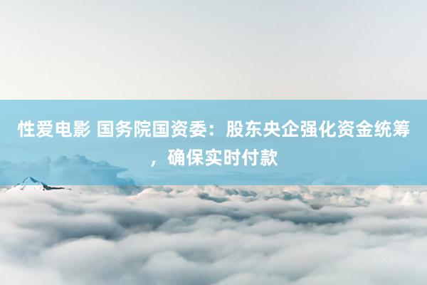 性爱电影 国务院国资委：股东央企强化资金统筹，确保实时付款