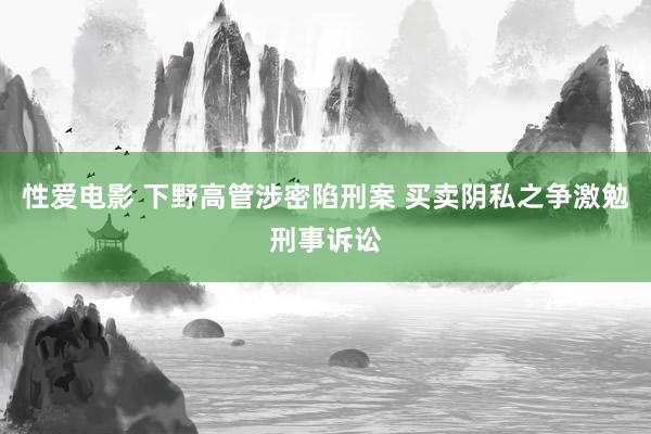 性爱电影 下野高管涉密陷刑案 买卖阴私之争激勉刑事诉讼
