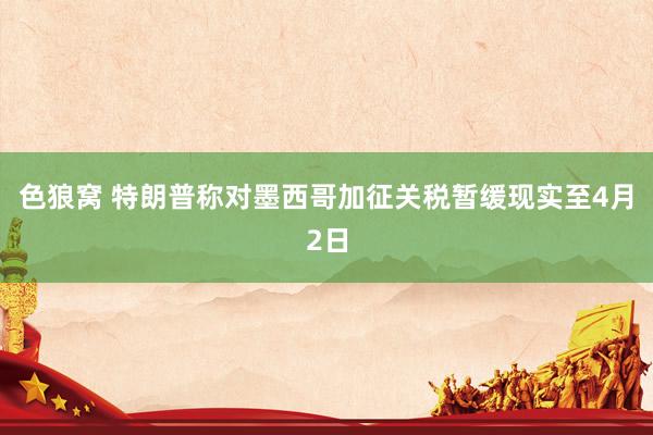 色狼窝 特朗普称对墨西哥加征关税暂缓现实至4月2日