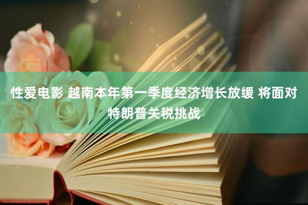 性爱电影 越南本年第一季度经济增长放缓 将面对特朗普关税挑战