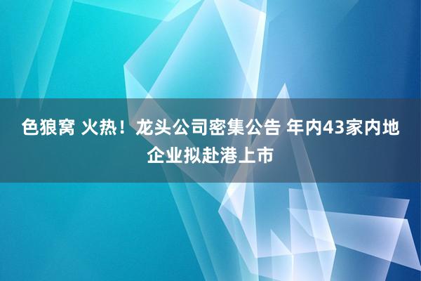 色狼窝 火热！龙头公司密集公告 年内43家内地企业拟赴港上市