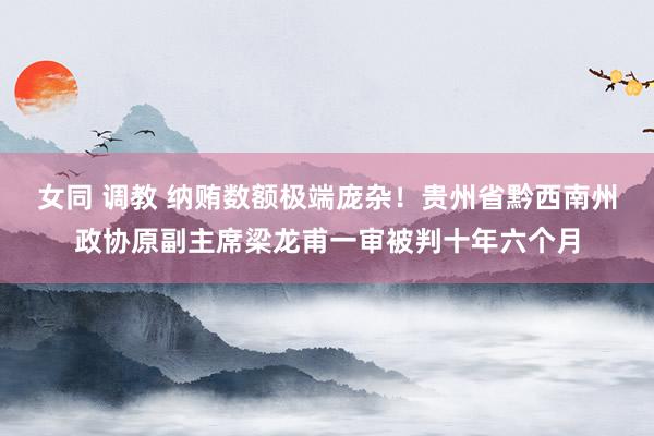 女同 调教 纳贿数额极端庞杂！贵州省黔西南州政协原副主席梁龙甫一审被判十年六个月