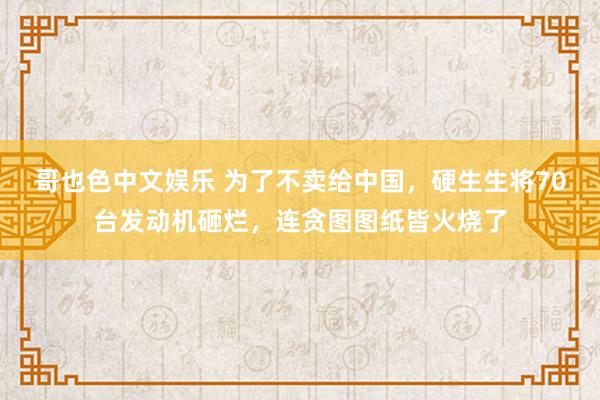 哥也色中文娱乐 为了不卖给中国，硬生生将70台发动机砸烂，连贪图图纸皆火烧了