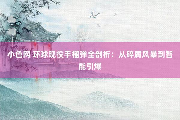 小色网 环球现役手榴弹全剖析：从碎屑风暴到智能引爆