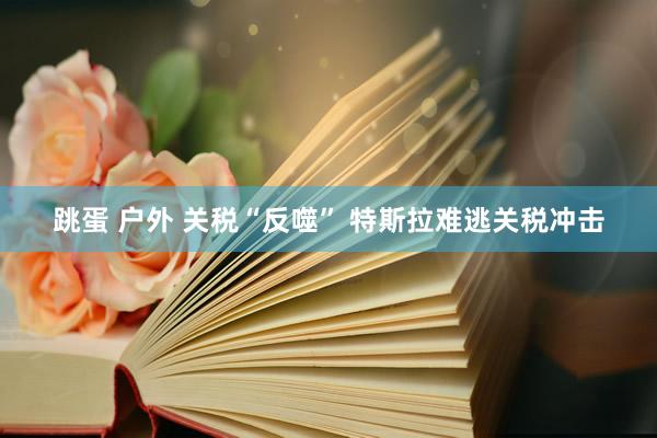 跳蛋 户外 关税“反噬” 特斯拉难逃关税冲击