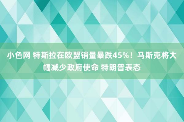 小色网 特斯拉在欧盟销量暴跌45%！马斯克将大幅减少政府使命 特朗普表态