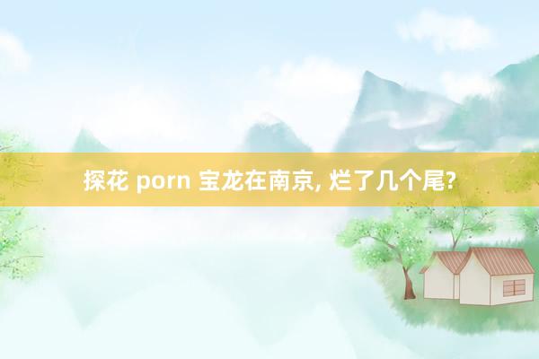 探花 porn 宝龙在南京, 烂了几个尾?