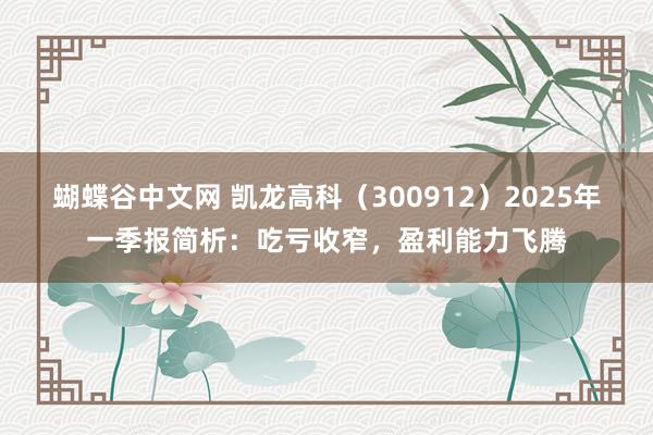 蝴蝶谷中文网 凯龙高科（300912）2025年一季报简析：吃亏收窄，盈利能力飞腾