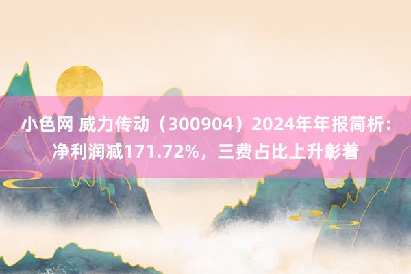 小色网 威力传动（300904）2024年年报简析：净利润减171.72%，三费占比上升彰着